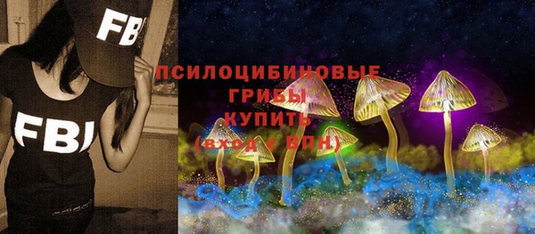ECSTASY Балахна
