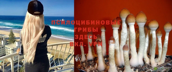 прущая мука Белоозёрский