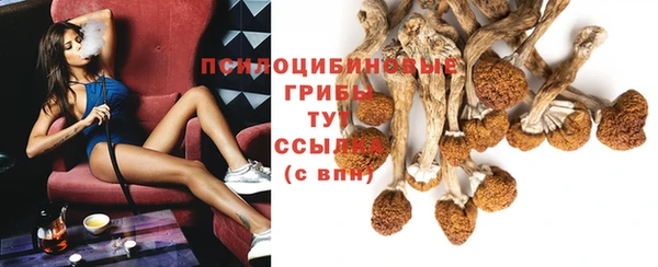 ECSTASY Балахна
